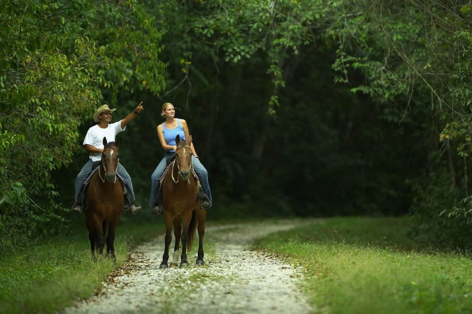 Horseback riding in Belize